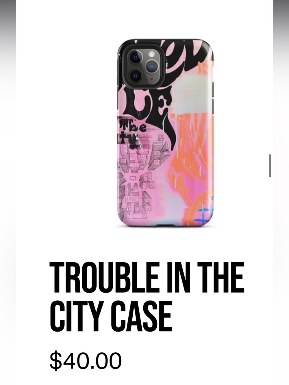 SDH paints phone case